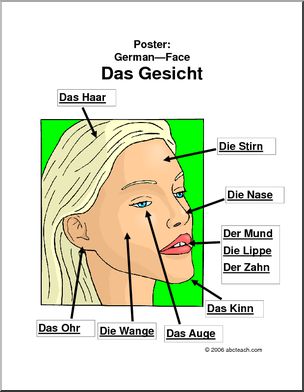 German: Poster – Face