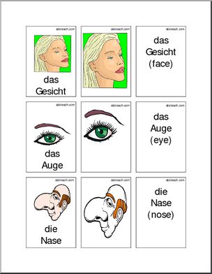 German: Flashcards – Face