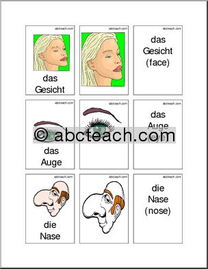 German: Flashcards – Face