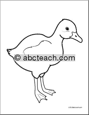 Clip Art: Baby Animals: Goose Gosling (coloring page)