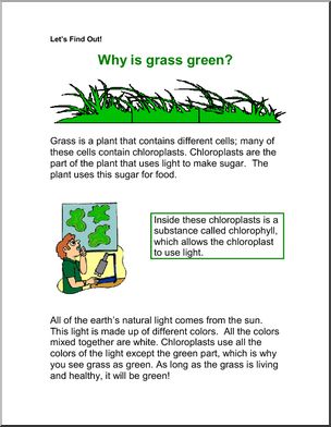 Comprehension: Why is the grass green? (primary/elem)