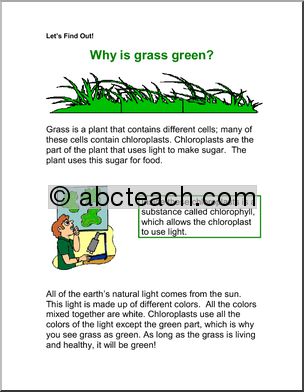 Comprehension: Why is the grass green? (primary/elem)
