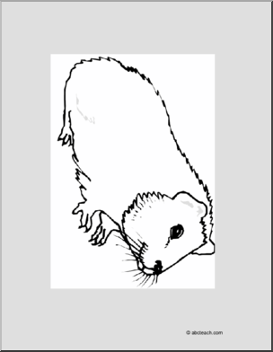 Coloring Page: Guinea Pig