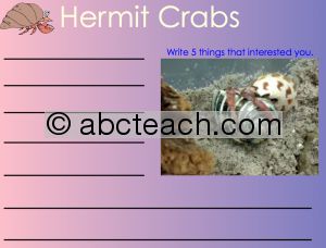 Interactive: Notebook:Brainstorm Notes–Hermit Crab