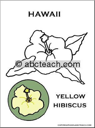 Hawaii:  State Flower – Yellow Hibiscus