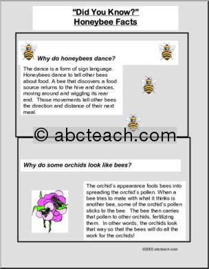 Did You Know? Bees (color)