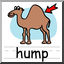 Clip Art: Basic Words: Hump Color (poster)