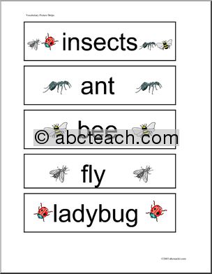 Word Wall: Insects