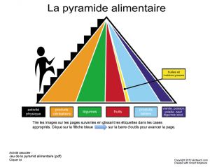Interactive: Notebook: French: Classification-Pyramide alimentaire