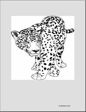 Coloring Page: Jaguar