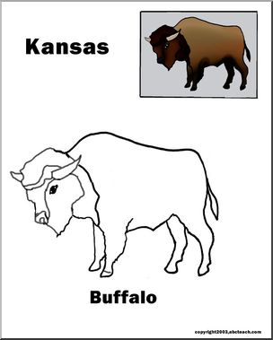 Kansas: State Animal  – Buffalo