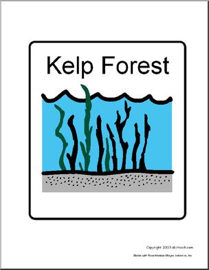 Sign: Kelp Forest