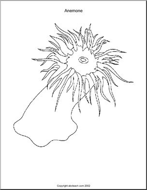 Coloring Page: Kelp Forest (set 1)