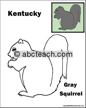 Kentucky: State Animal – Gray Squirrel