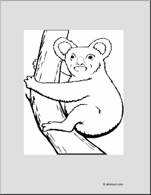 Coloring Page: Koala