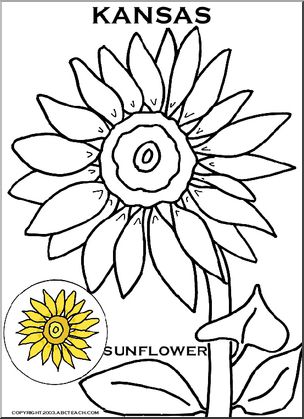 Kansas:  State Flower – Sunflower