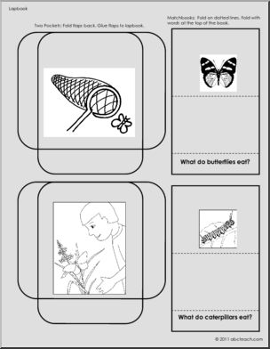 Lapbook: Butterfly (primary)
