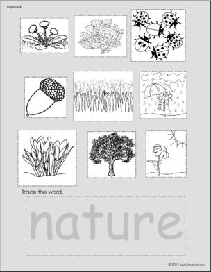 Slide Image