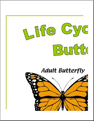 Large Poster: Life Cycle of a Butterfly