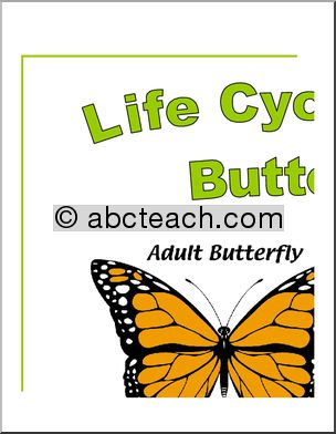Large Poster: Life Cycle of a Butterfly