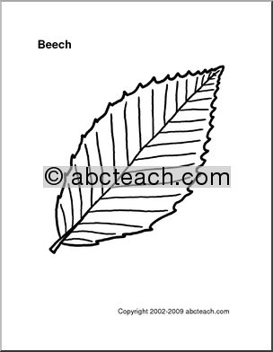 Pattern: Leaf – Beech