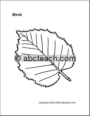 Pattern: Leaf – Birch