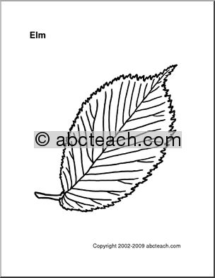 Pattern: Leaf – Elm