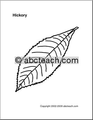 Pattern: Leaf – Hickory
