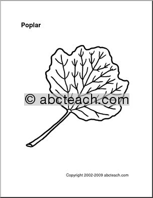 Pattern: Leaf – Poplar
