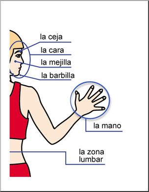 Slide Image