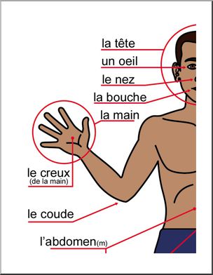 French: Grande affiche du corps humain vu de devant