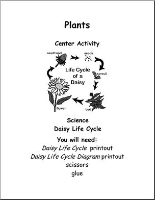 Learning Center: Life Cycle of a Daisy (b/w) (elem)
