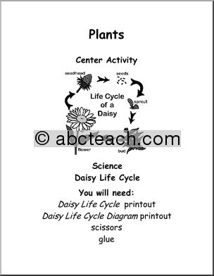 Learning Center: Life Cycle of a Daisy (b/w) (elem)