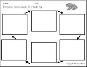 Science Form: Life Cycle of a Frog