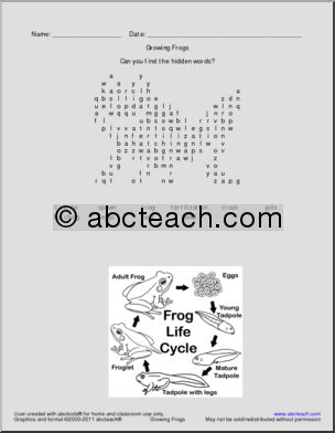 Growing Frogs Vocabulary Set (primary/elem) Book