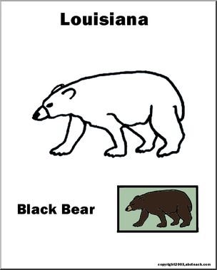 Louisiana: State Animal – Black Bear