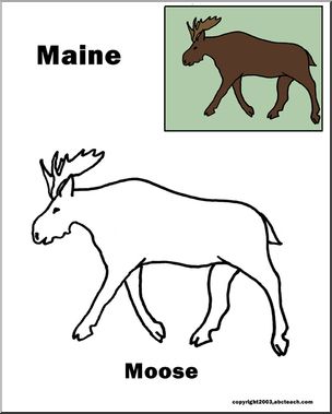 Maine: State Animal  – Moose