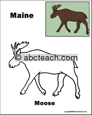 Maine: State Animal  – Moose