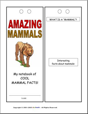 Report Form: Mammal Notebook