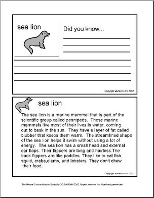 Did You Know? Marine Animals