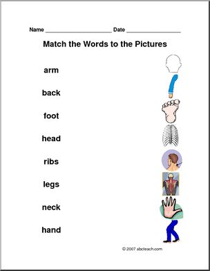 Matching: Body (primary)