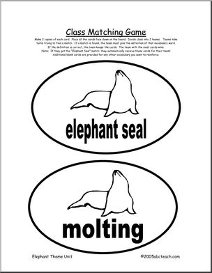 Memory Game: Elephant Seals