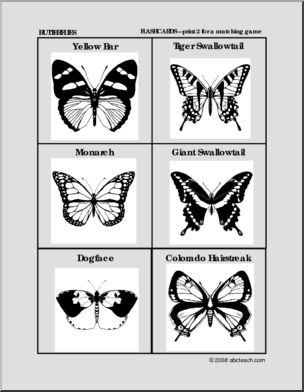 Flashcards: Butterflies (preschool/primary)