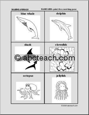 Flashcards: Marine Animals (preschool/primary)