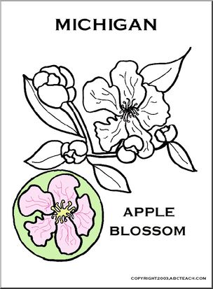 Michigan: State Flower – Apple Blossom