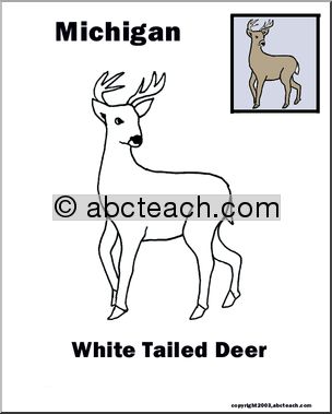 Michigan: State Animal – White-tailed Deer
