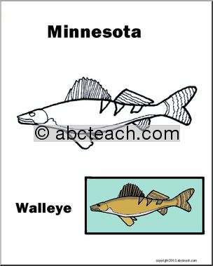 Minnesota: State Animal  – Walleye