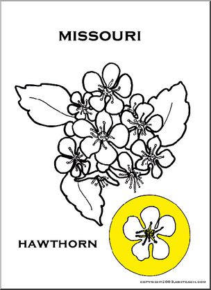 Missouri:  State Flower – Hawthorn