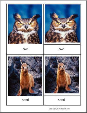 Montessori Materials: Three-Card Matching: Vertebrate/Invertebrate