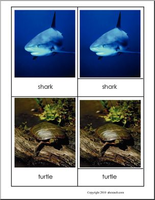 Montessori Materials: Three-Card Matching: Vertebrate/Invertebrate ...